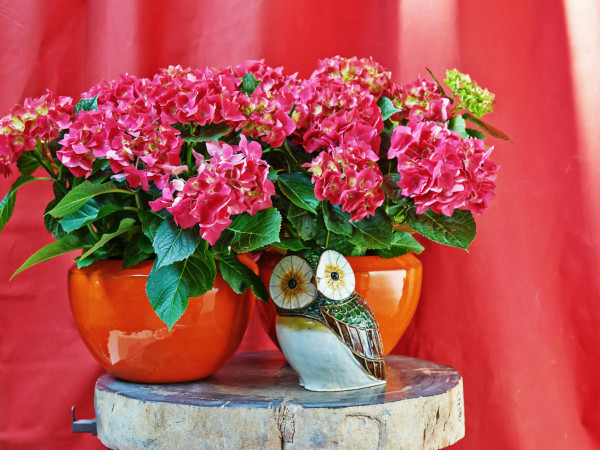 Stijltip herfst 2026